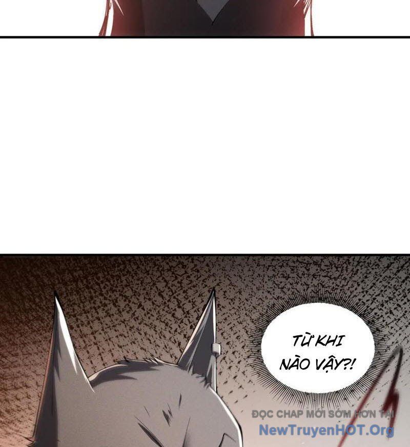 Ta Thăng Cấp Cùng Tai Ách Chap 48 - Next Chap 49