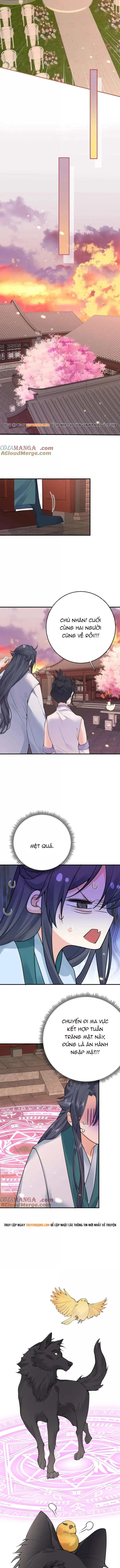 Ta Vô Địch Lúc Nào Chap 288 - Next Chap 289