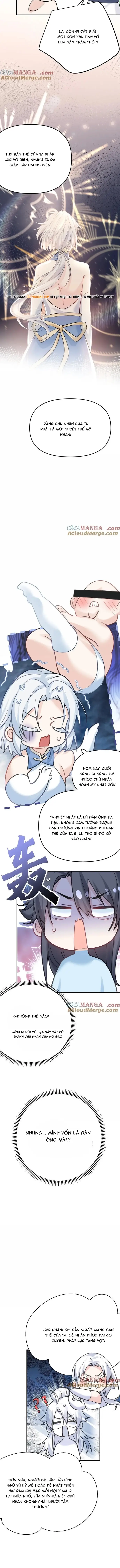 Ta Vô Địch Lúc Nào Chap 290 - Next Chap 291