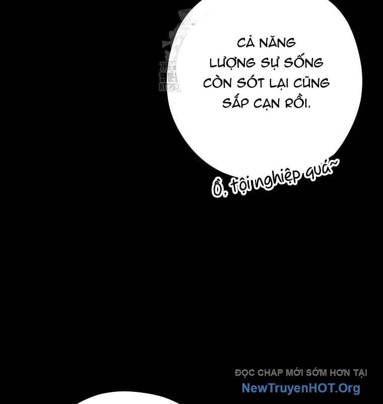 Tái Thiết Hầm Ngục Chap 257 - Next Chap 258