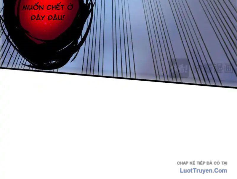 Thảm Họa Tử Linh Sư Chap 231 - Next Chap 232