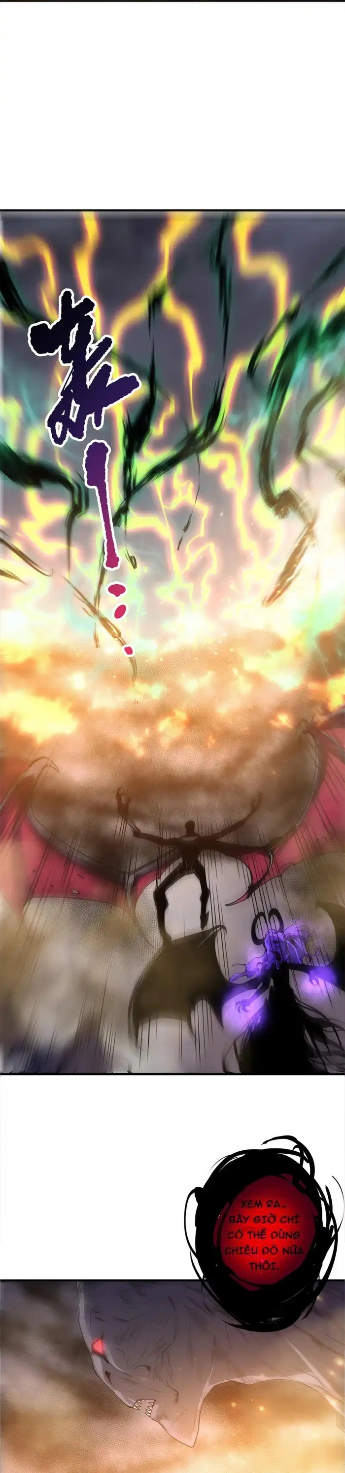 Thảm Họa Tử Linh Sư Chap 232 - Next Chap 233