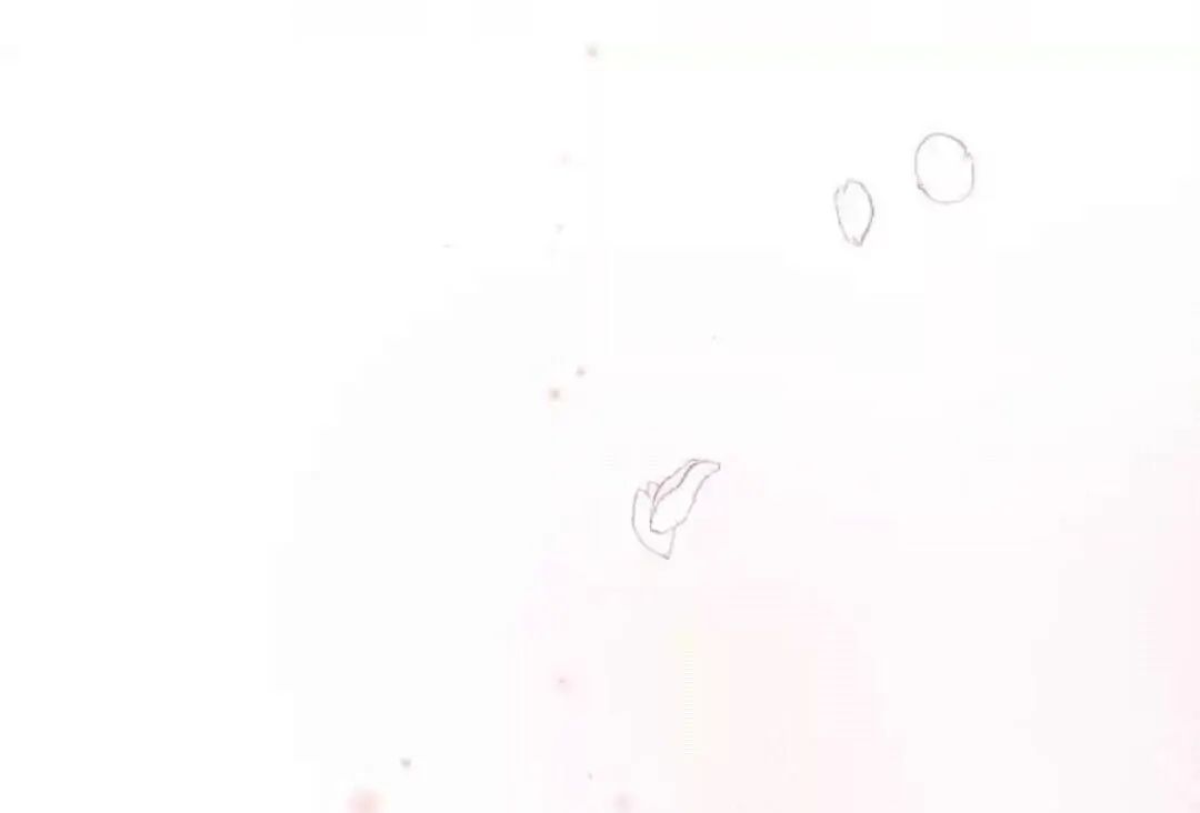 Thành Bại Vì Tiêu Hà Chap 53 - Next Chap 54