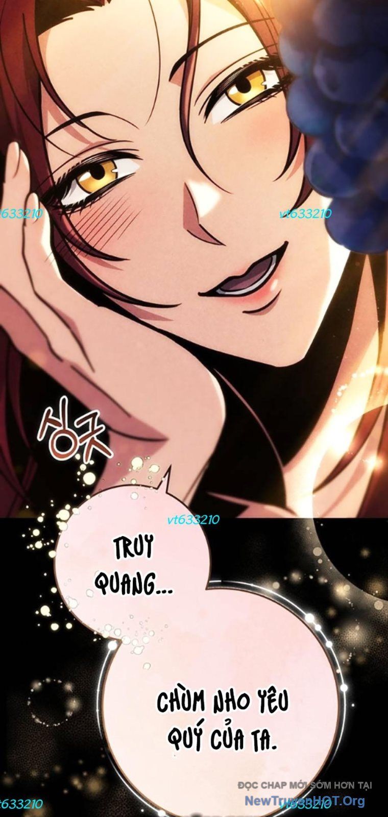 Thanh Kiếm Của Hoàng Đế Chap 97 - Next Chap 98