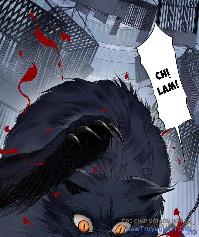 Thế Giới Vô Tội Chap 6 - Next Chap 7