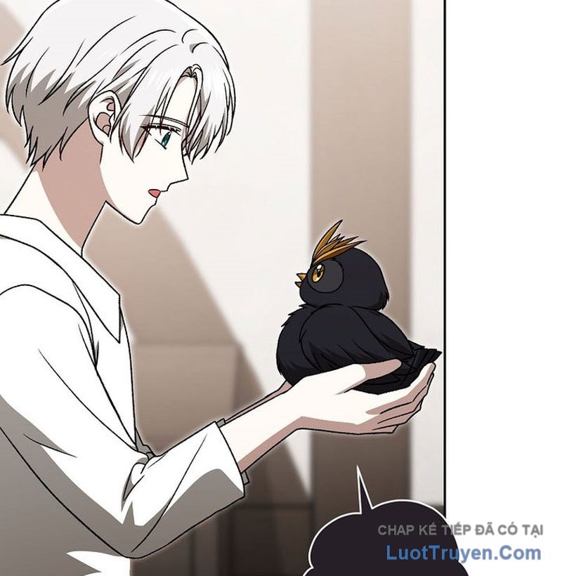 Thiên Tài Phép Thuật Nắm Giữ Khái Niệm Chap 41 - Next Chap 42