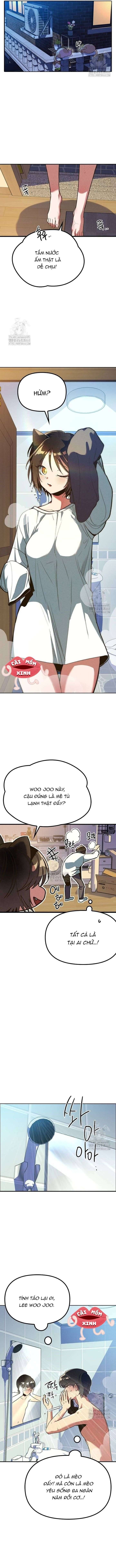 Thiếu Nữ Hoàng Đạo Chap 5 - Next Chap 6