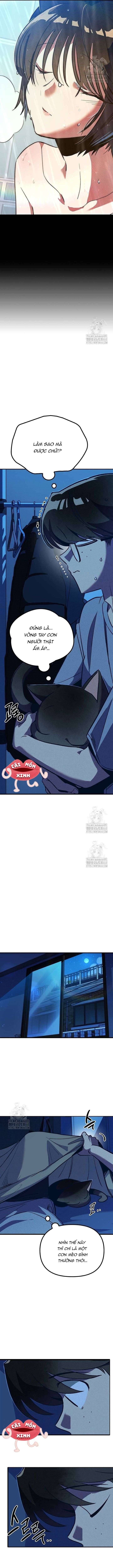 Thiếu Nữ Hoàng Đạo Chap 5 - Next Chap 6