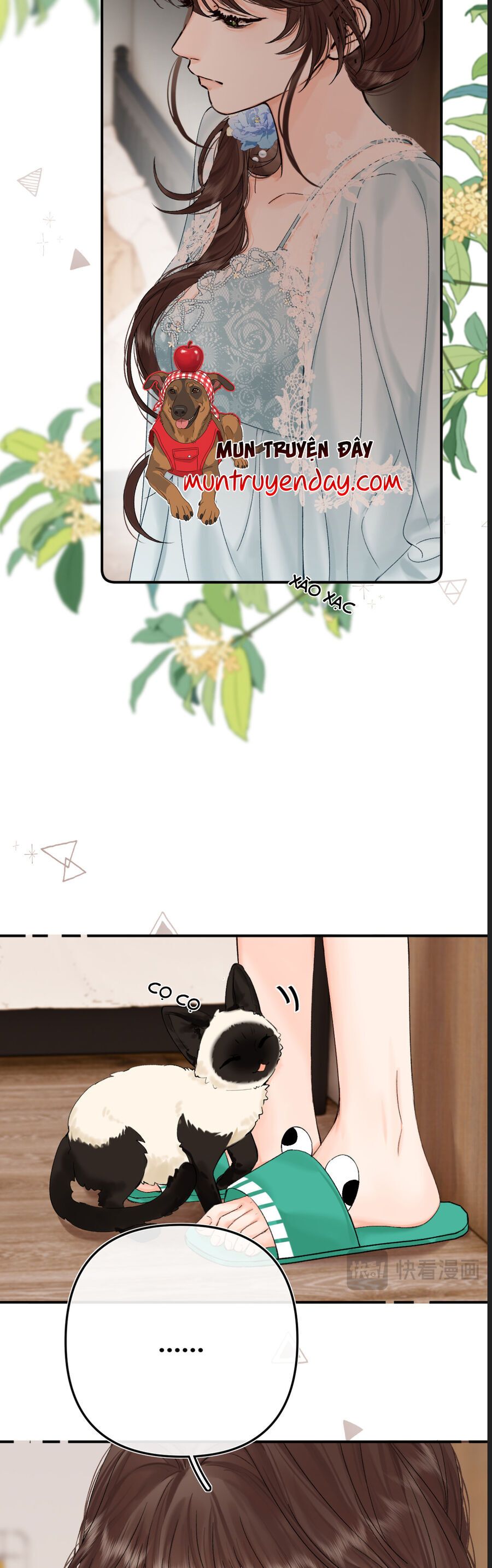 THỈNH ĐA LOAN CHIẾU Chap 35 - Next Chap 36