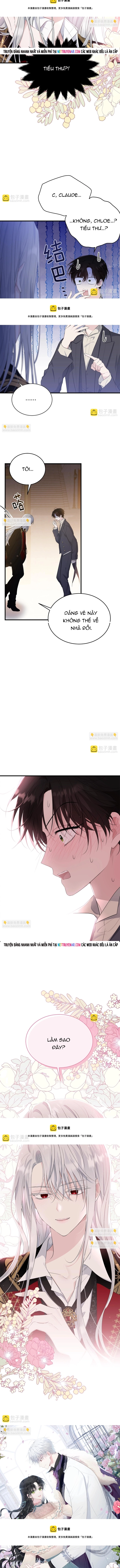 Tiểu thư mà tôi phục vụ biến thành thiếu gia rồi Chap 74 - Next Chap 75