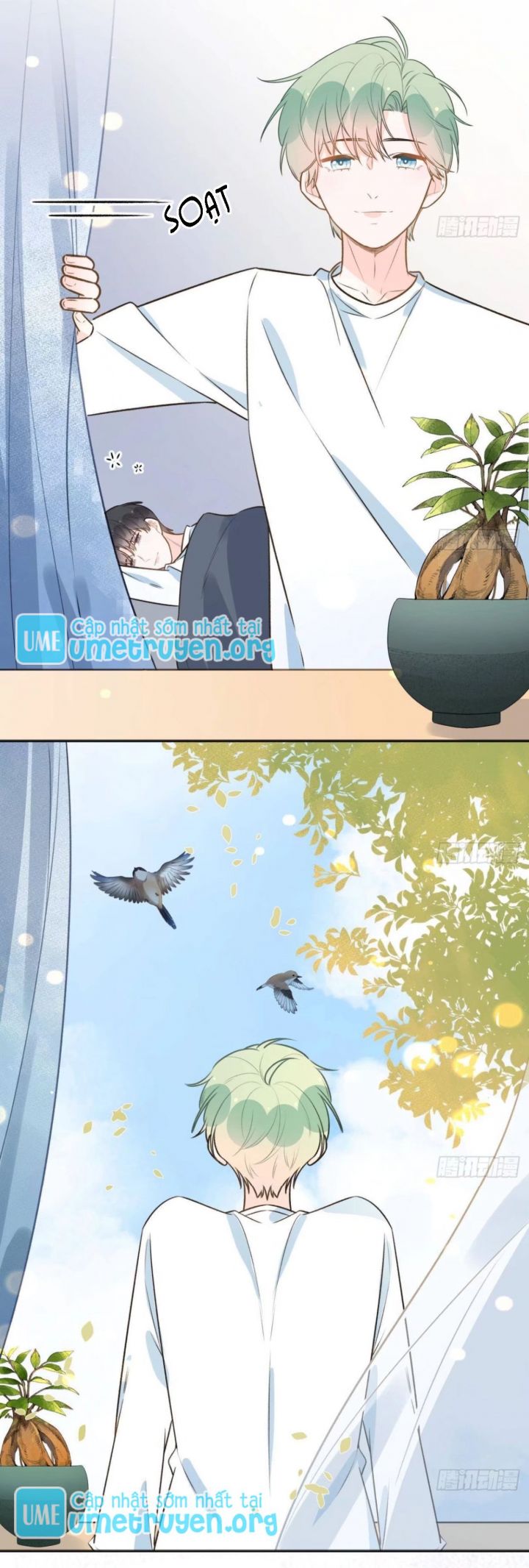 Tình Yêu Mạng Ngọt Ngào Lật Xe Rồi! Chap 109 - Next Chap 110