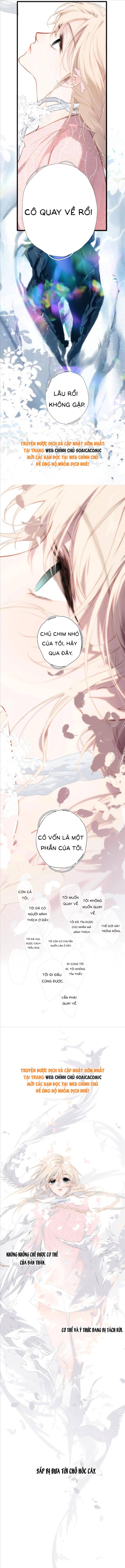 Tố Hồi Xuân Thời Chap 36 - Next Chap 37