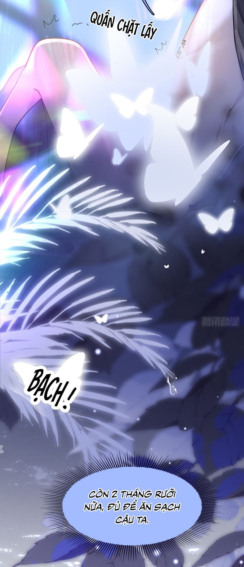 Tôi Cố Ý Giả Vờ Chap 3 - Next Chap 4