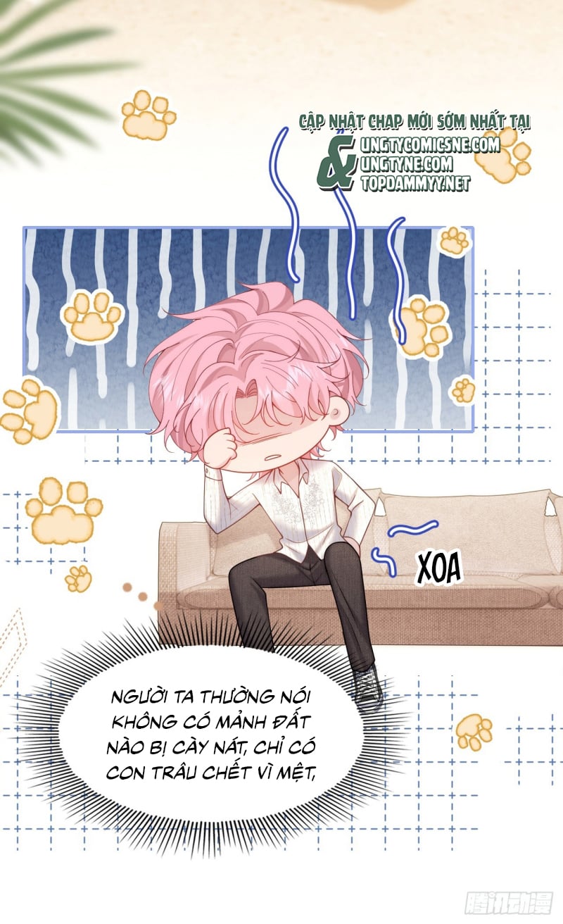 Tôi Cố Ý Giả Vờ Chap 7 - Next Chap 8