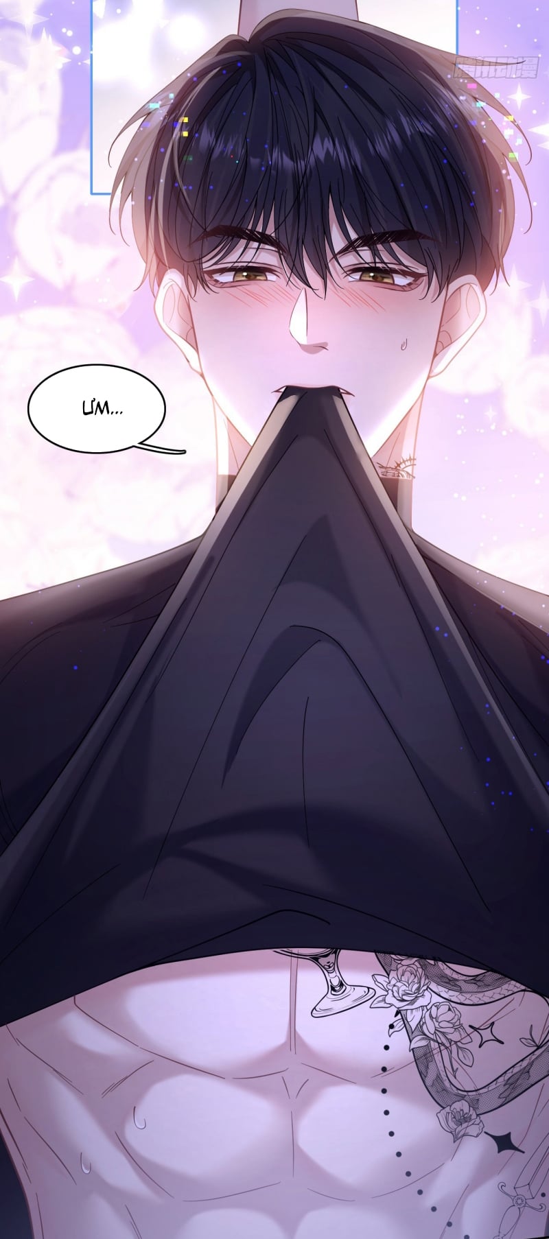 Tôi Cố Ý Giả Vờ Chap 9 - Next Chap 10