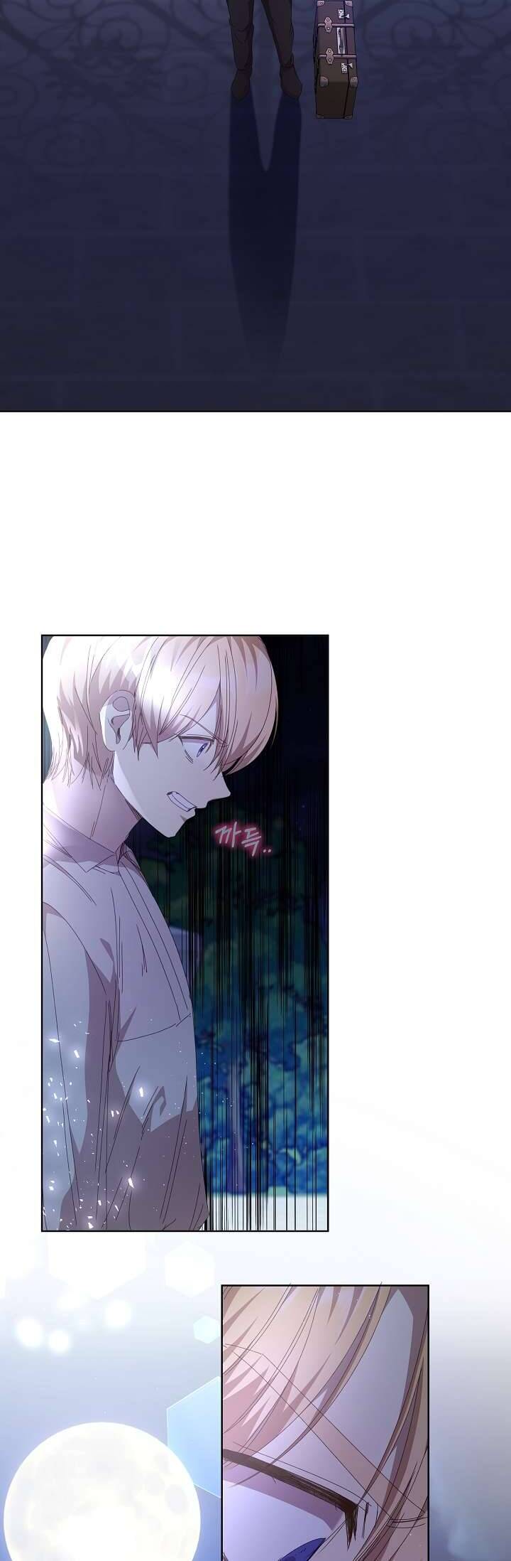 Tôi Đã Vô Tình Quyến Rũ Em Trai Của Nam Chính Chap 27 - Next Chap 28