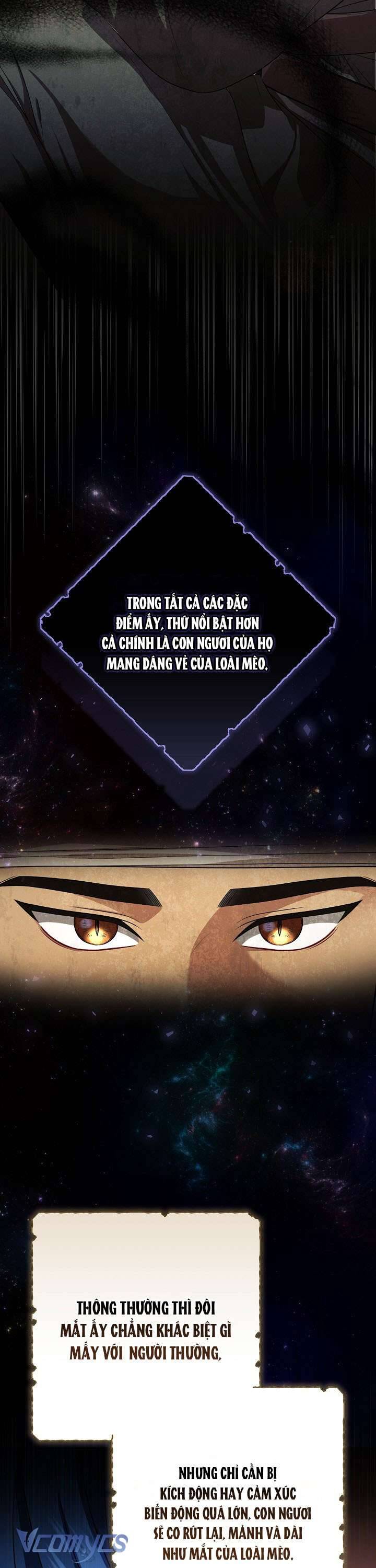 Tôi Đang Xem Một Vở Kịch Chap 17 - Next Chap 18