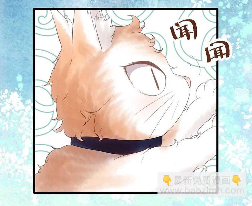 Tôi Không Phải Nữ Phụ Ác Độc Chap 196 - Next Chap 197