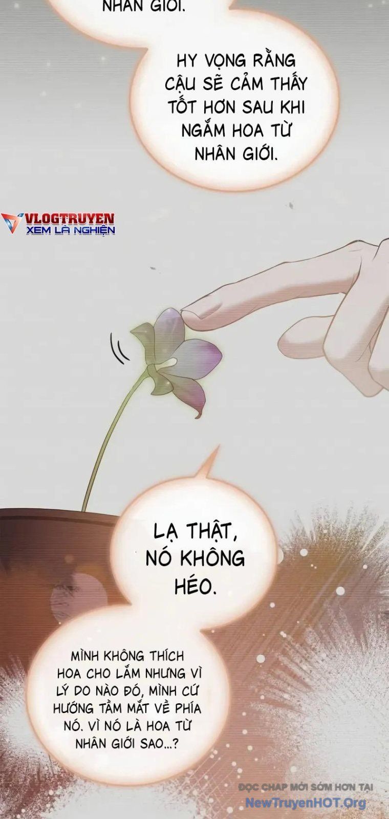 Tôi Không Tài Năng Đến Thế Đâu Chap 93 - Next Chap 94