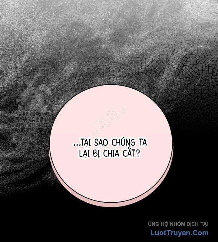 Tôi Thăng Cấp Bằng Kĩ Năng Chap 117 - Next Chap 118