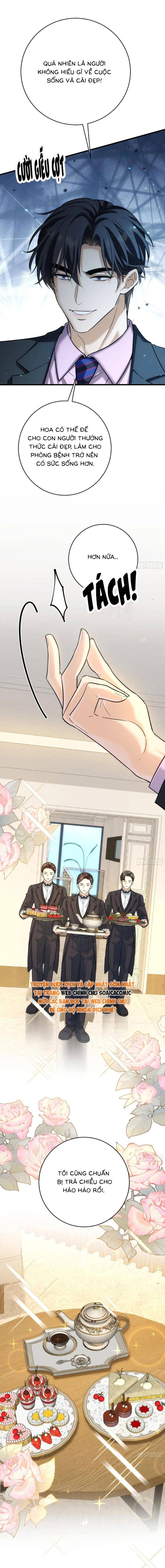 Tổng Tài Chó Chap 37 - Next Chap 38