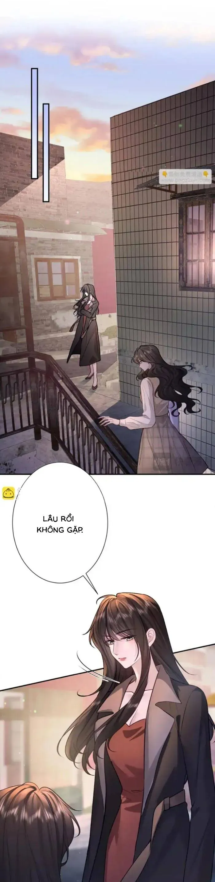 Tổng Tài Cố Chấp, Xin Hãy Buông Tha Chap 37 - Next Chap 38