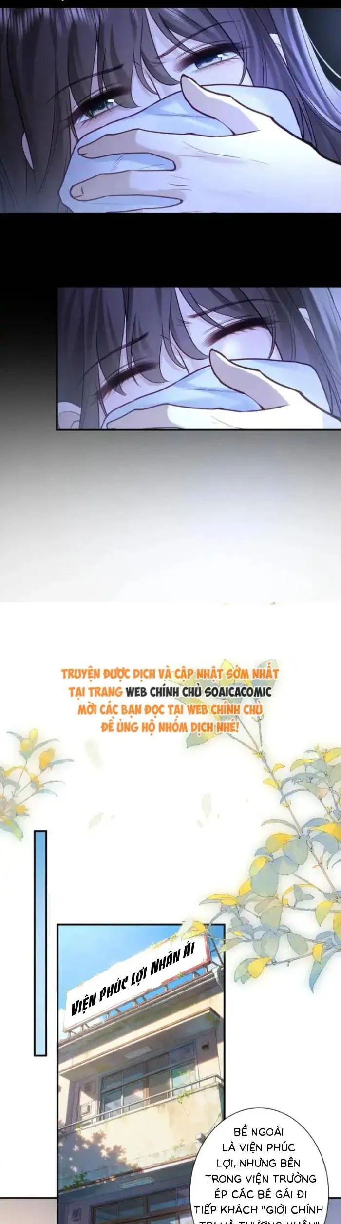 Tổng Tài Cố Chấp, Xin Hãy Buông Tha Chap 37 - Next Chap 38