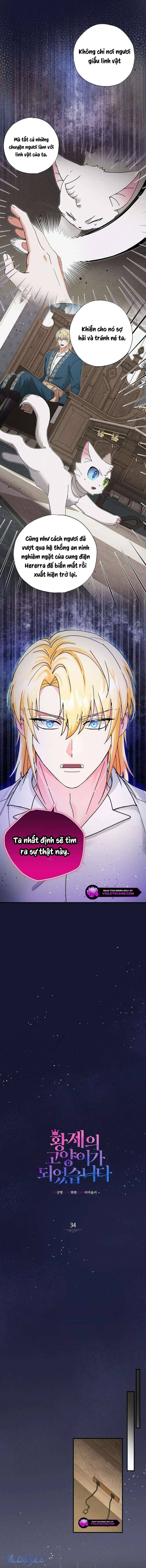 Trở Thành Miêu Nữ Của Hoàng Đế Chap 34 - Next Chap 35