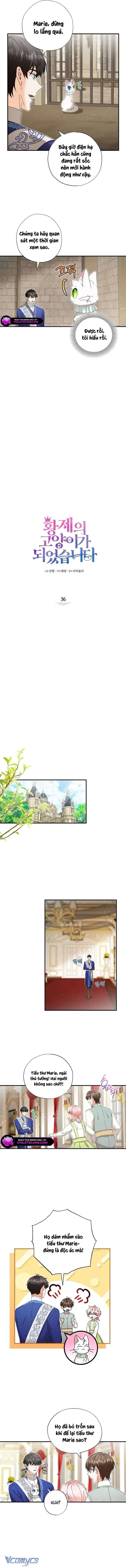 Trở Thành Miêu Nữ Của Hoàng Đế Chap 36 - Next Chap 37