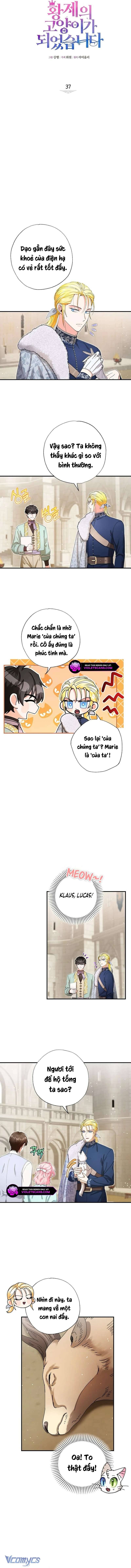 Trở Thành Miêu Nữ Của Hoàng Đế Chap 37 - Next Chap 38