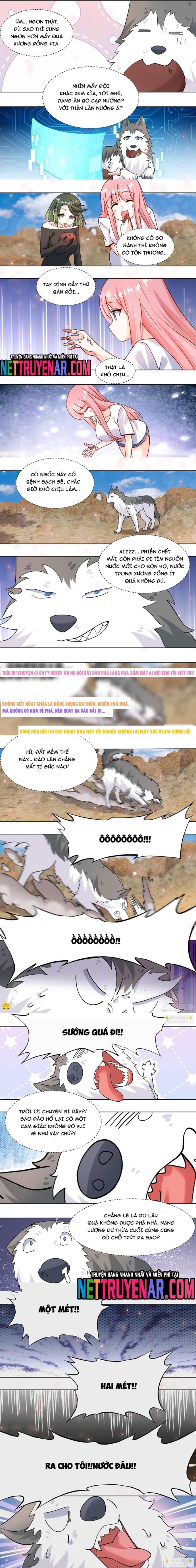 Trọng Sinh Thành Chó Của Nữ Thần Chap 411 - Next Chap 412