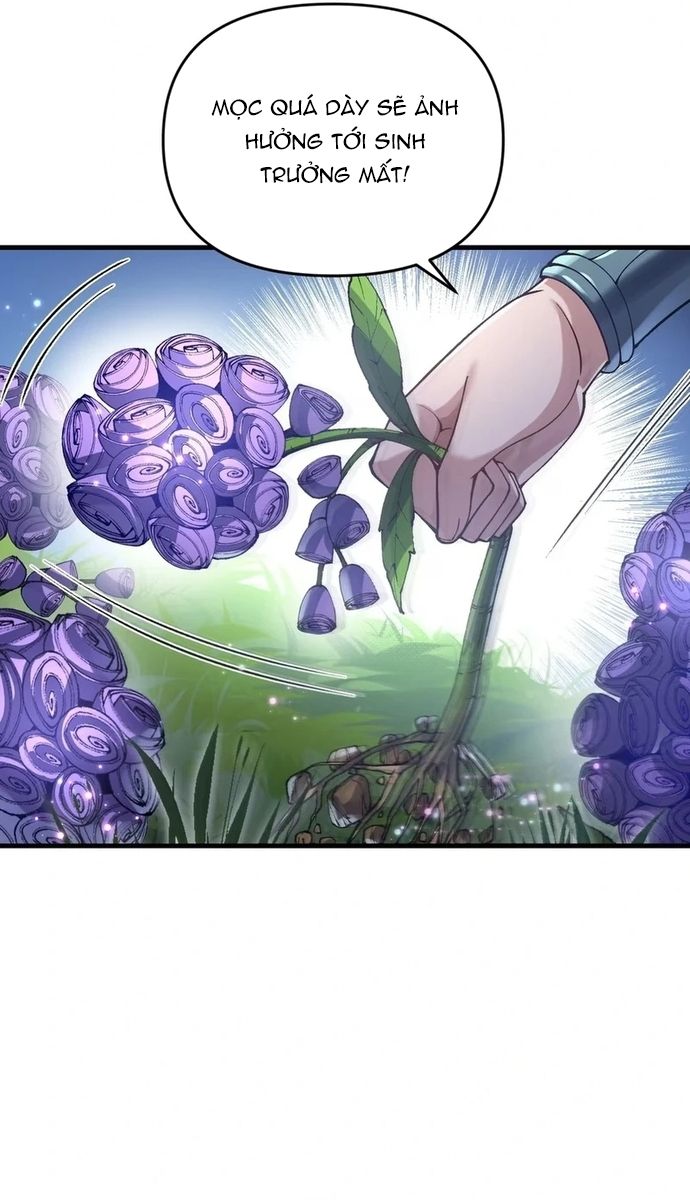 Tu Chân: Từ Yêu Tộc Nữ Đế Bắt Đầu Chap 1 - Next Chap 2