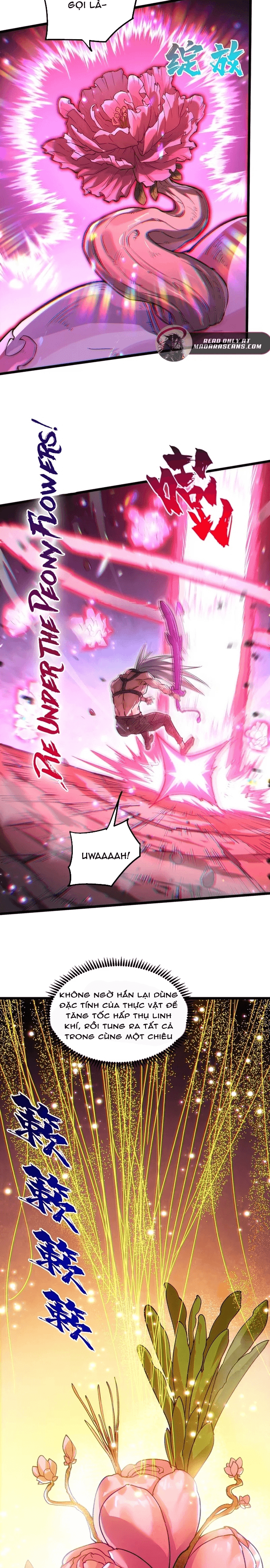 Tu Chân: Từ Yêu Tộc Nữ Đế Bắt Đầu Chap 3 - Next Chap 4