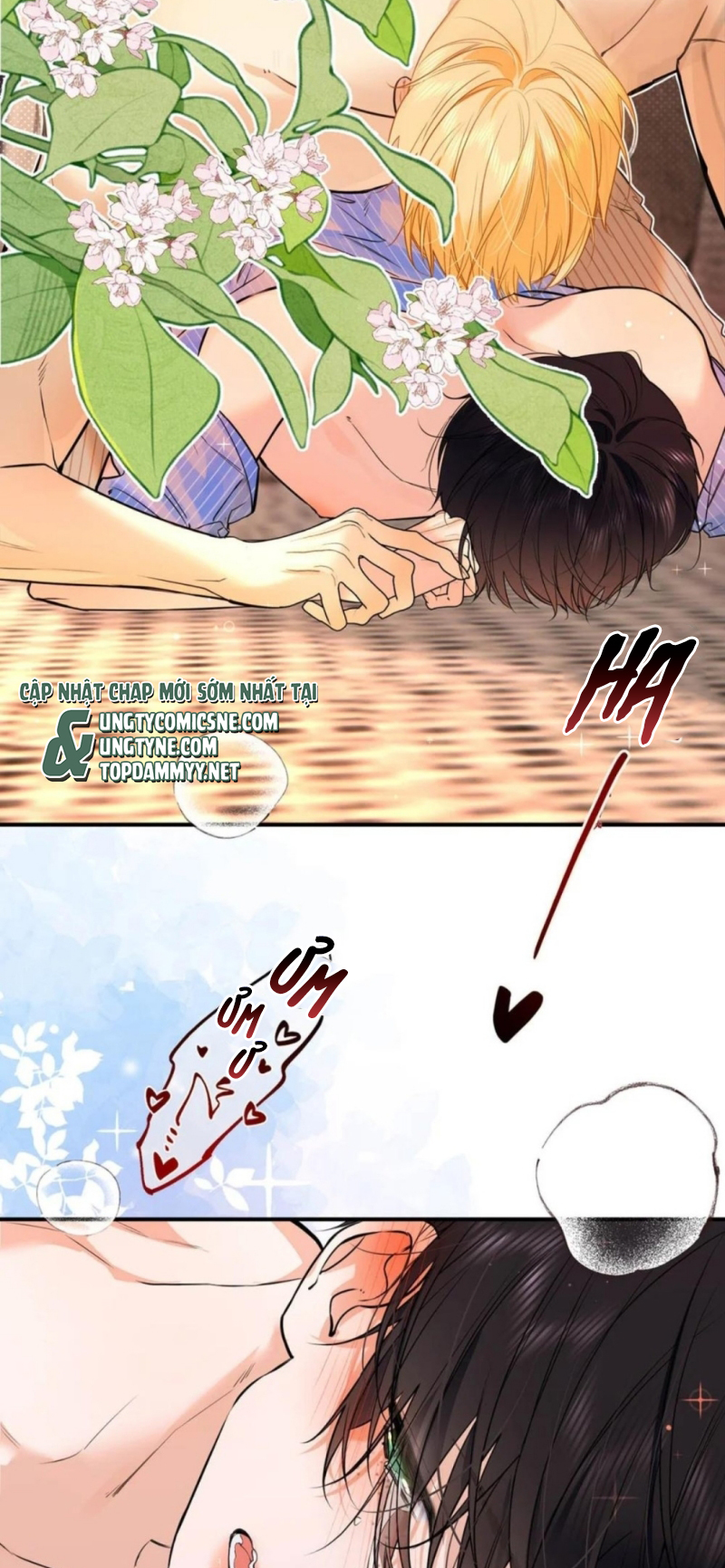 Từ Số Không Bắt Đầu Làm Bạn Trai Chap 80 - Next Chap 81