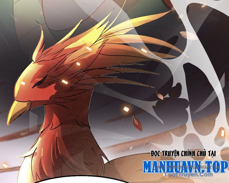 Tuyệt Đối Đừng Gây Sự Với Đại Sư Huynh Chap 3 - Next Chap 4