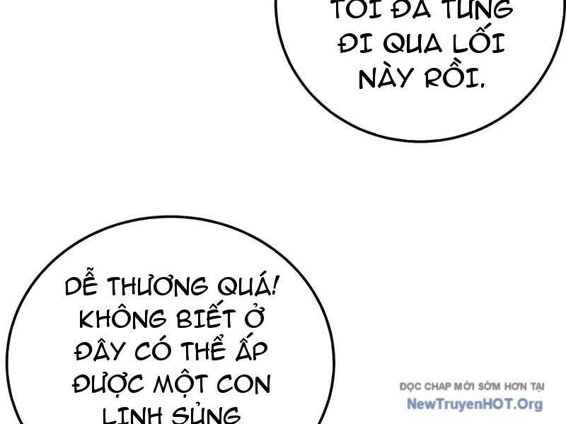 Vô Địch Bị Động Tạo Ra Tấn Sát Thương Chap 102 - Next Chap 103