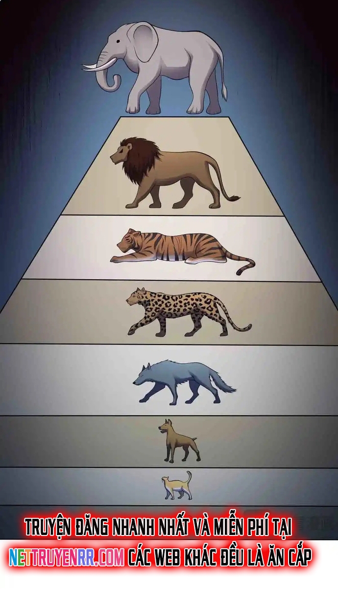 Vô Hạn Hồ Sơ Chap 86 - Next Chap 87