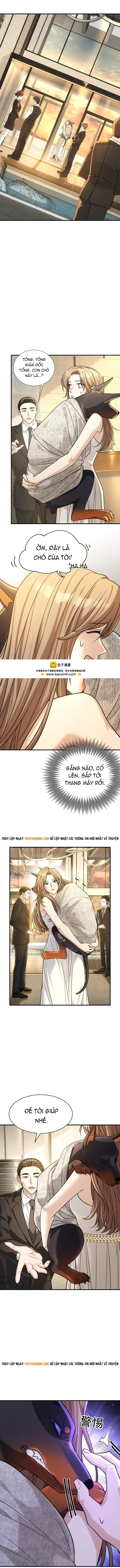 Vô Tình Kết Hôn Với Tổng Tài Chap 42 - Next Chap 43