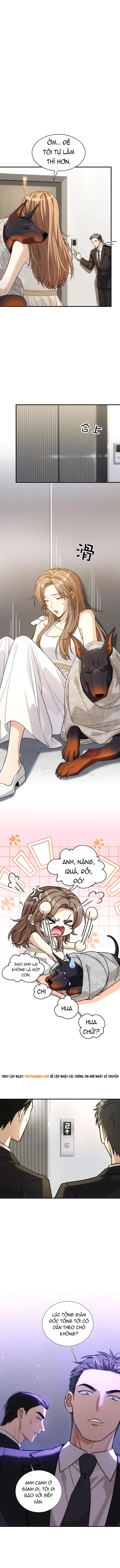 Vô Tình Kết Hôn Với Tổng Tài Chap 42 - Next Chap 43