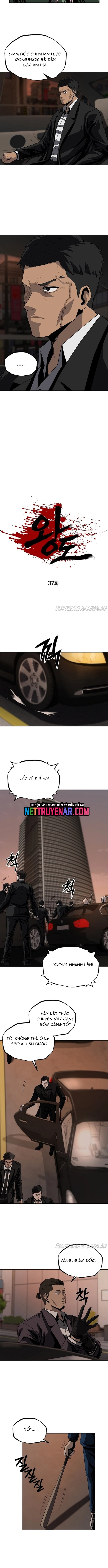 Vương Đạo Chap 37 - Next Chap 38