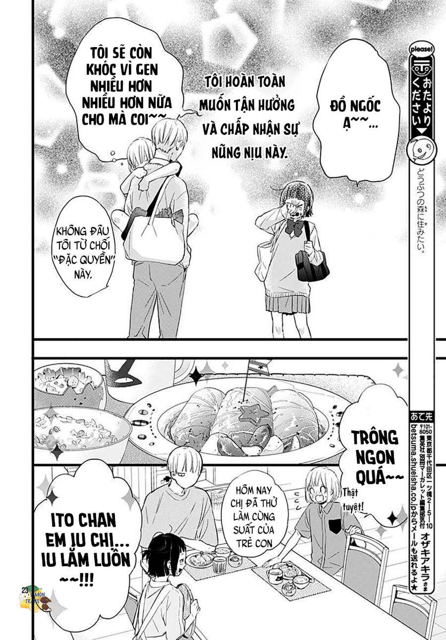 Xin Lỗi Nhé Mấy Đứa Em Của Tôi. Chap 5 - Next Chap 6