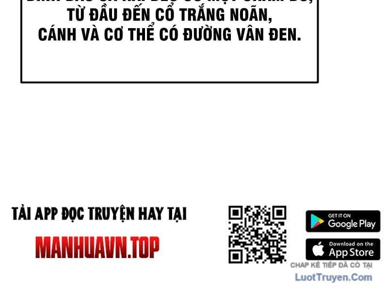 Xuyên Không Tới Tu Tiên Giới Làm Trù Thần Chap 16 - Next Chap 17