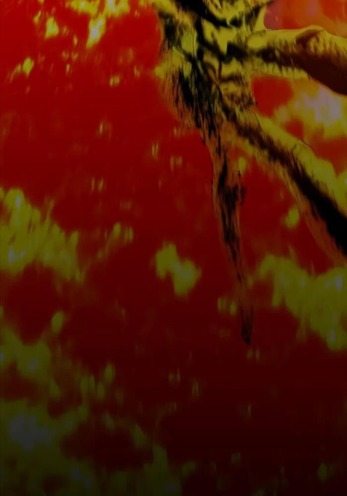 Bones Chap 4 - Next Chap 5