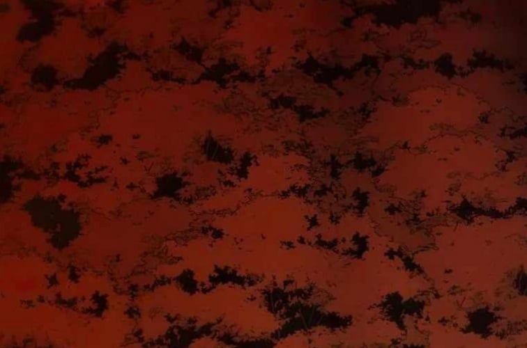 Huyền Thoại Diệt Thế Độc Long Chap 127 - Next Chap 128