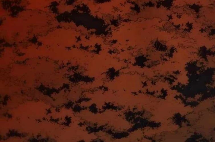 Huyền Thoại Diệt Thế Độc Long Chap 127 - Next Chap 128