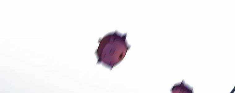 Huyền Thoại Tu La Độc Long Chap 125 - Next Chap 126