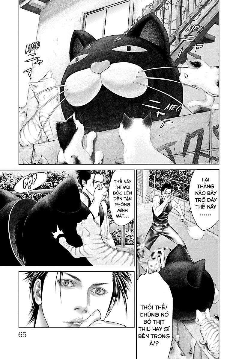 Kiến Vua Chap 1 - Next Chap 2