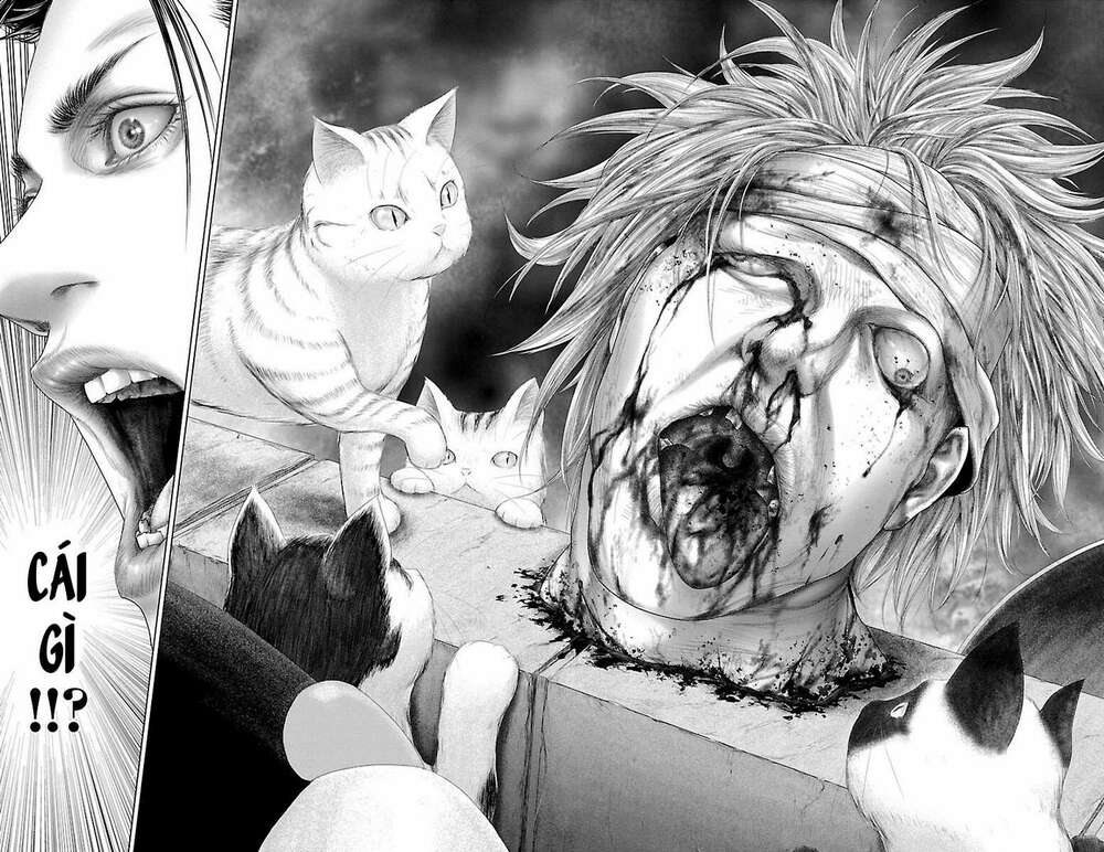 Kiến Vua Chap 1 - Next Chap 2