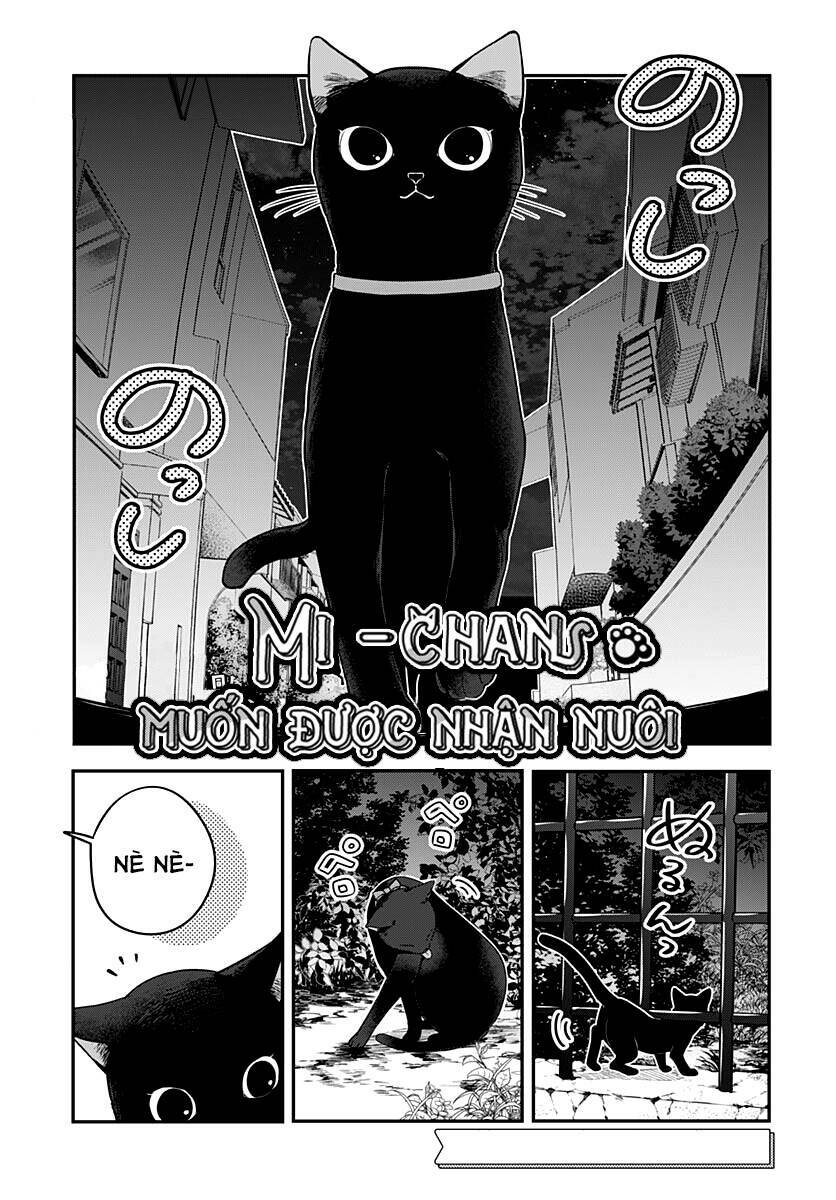 Mi-Chan Wa Kawaretai Chap 5 - Next Chap 6