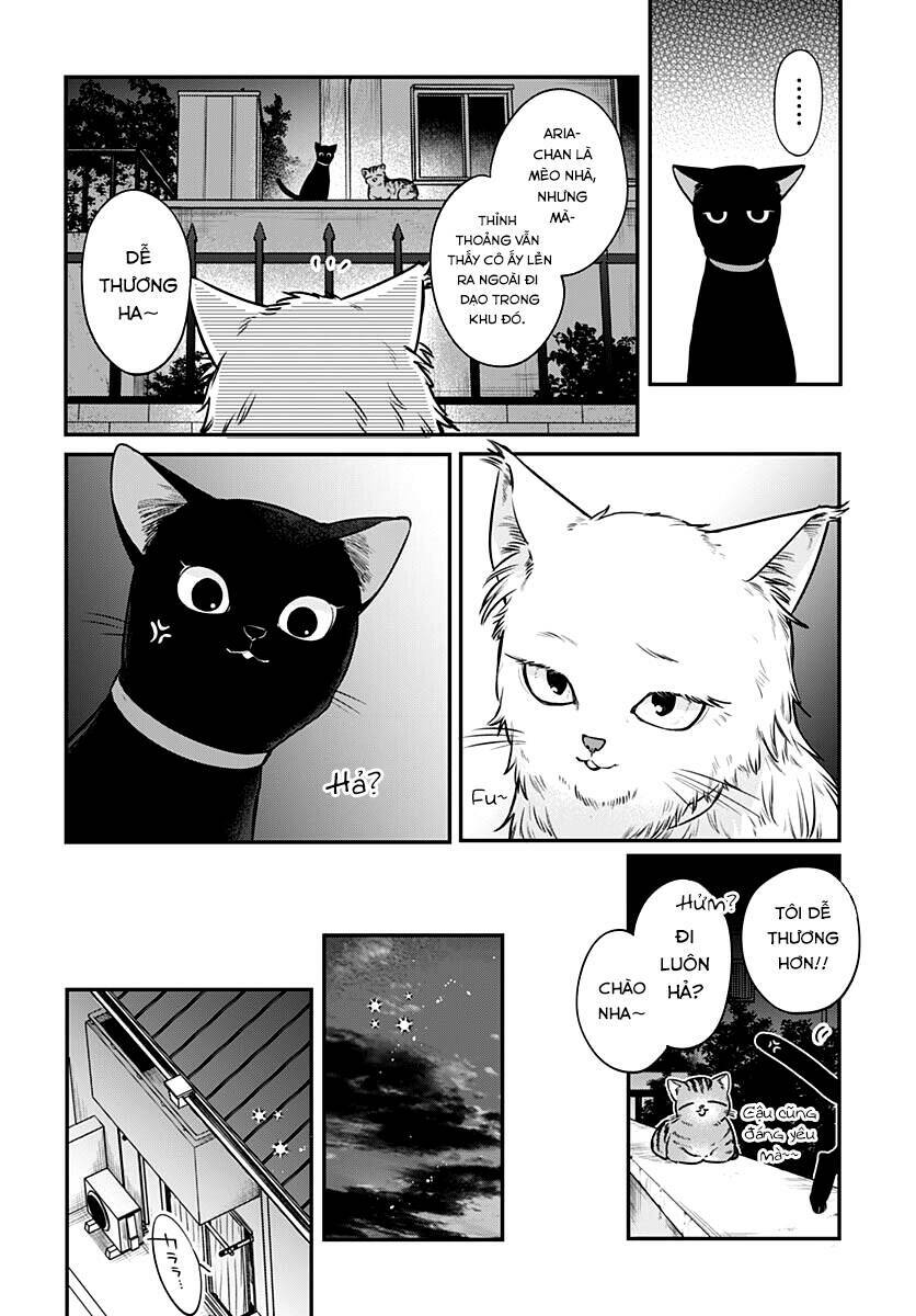 Mi-Chan Wa Kawaretai Chap 5 - Next Chap 6